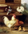 Un gallo, gallina y polluelos con palomas, granja de ganado avícola, Edgar Hunt